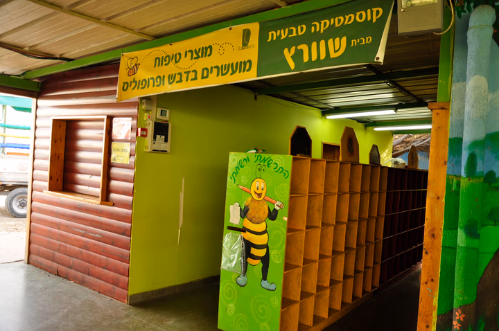 תמונה מהגלריה
