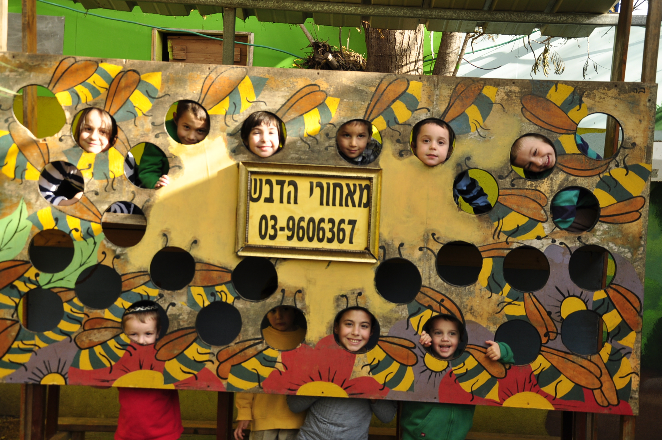 תמונה מהגלריה