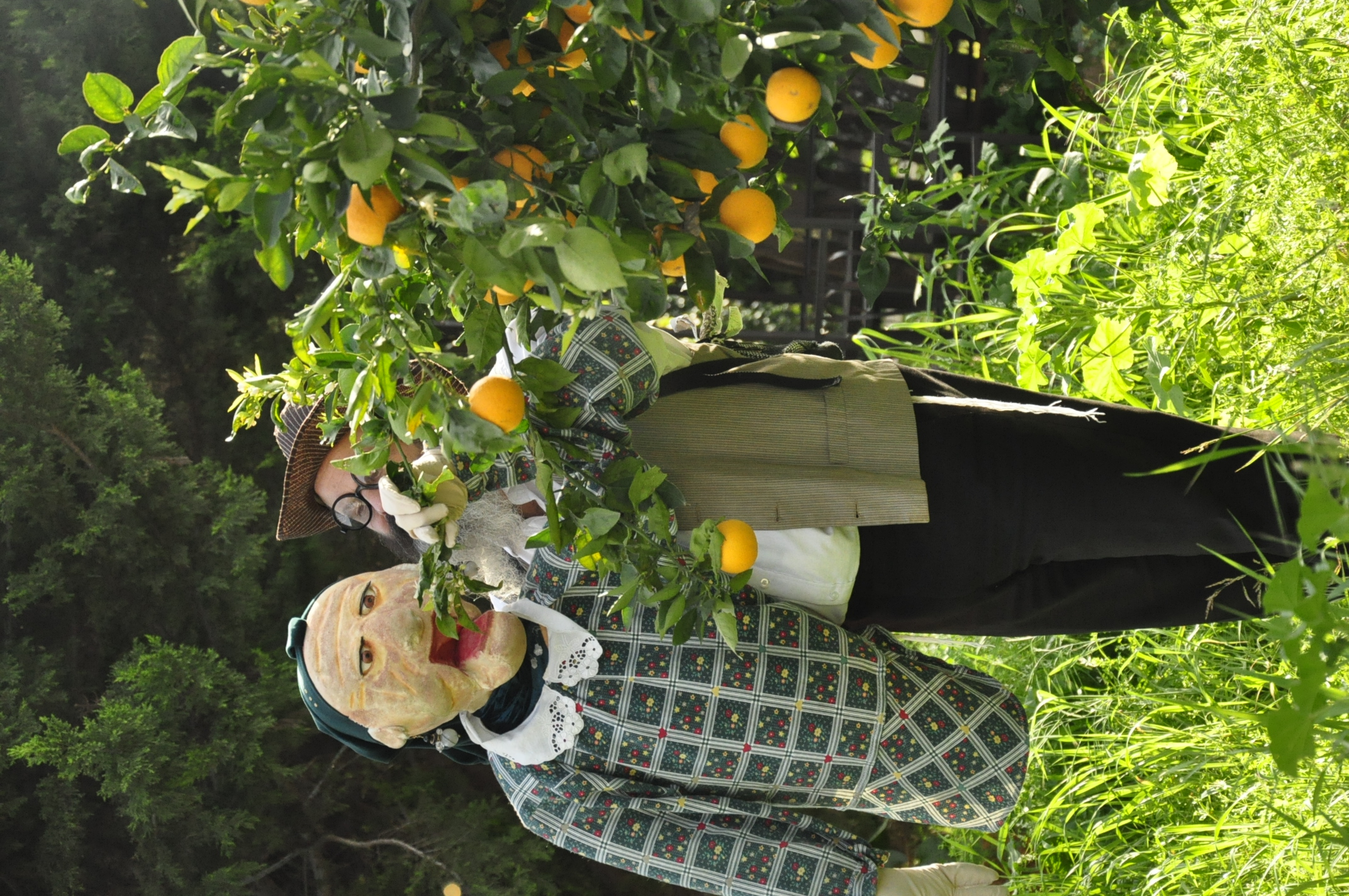 תמונה מהגלריה