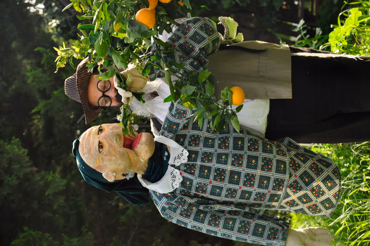 תמונה מהגלריה