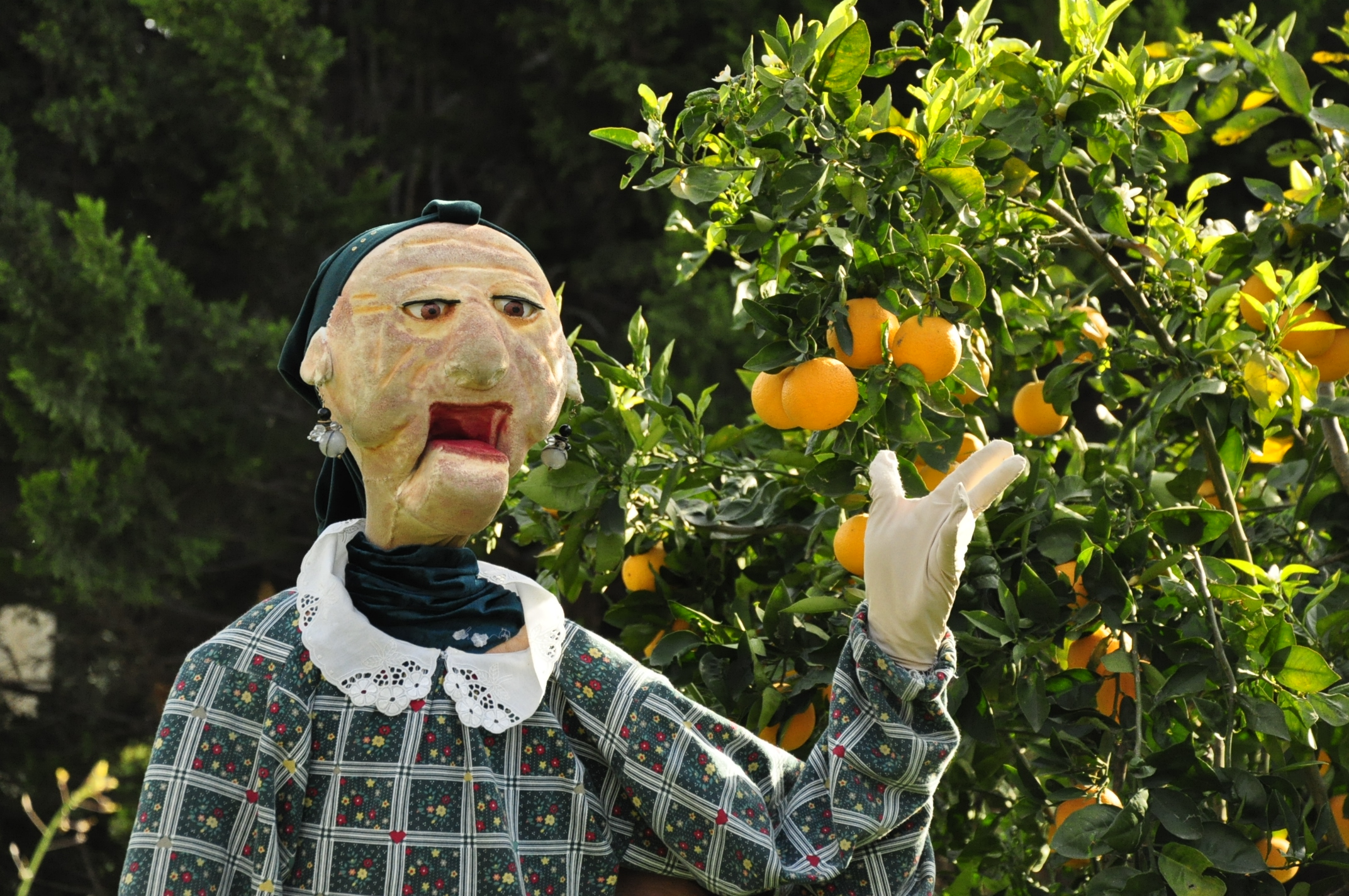 תמונה מהגלריה