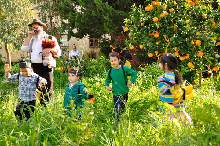 גלריית מאחורי הדבש – תמונה 434