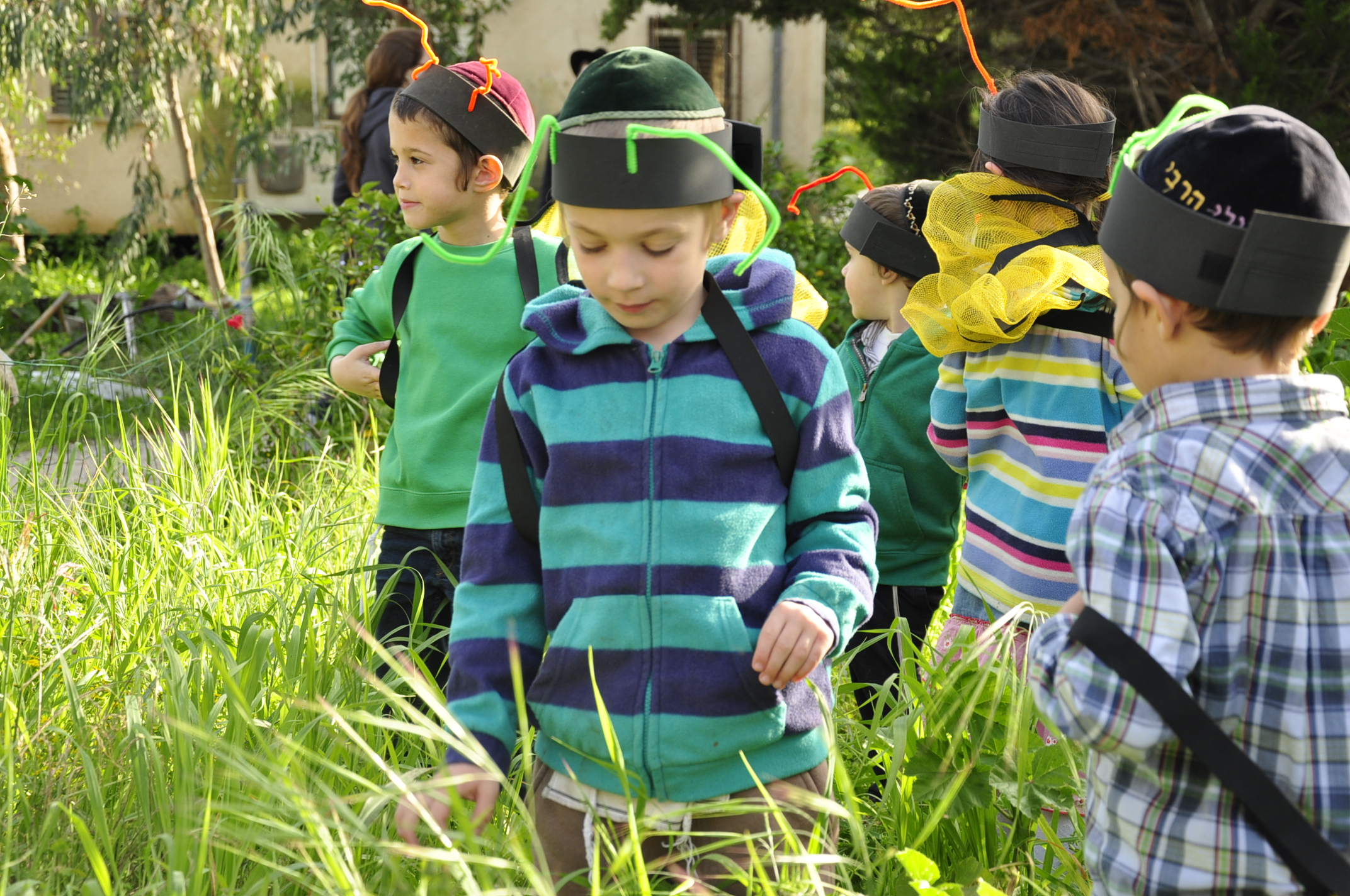 תמונה מהגלריה