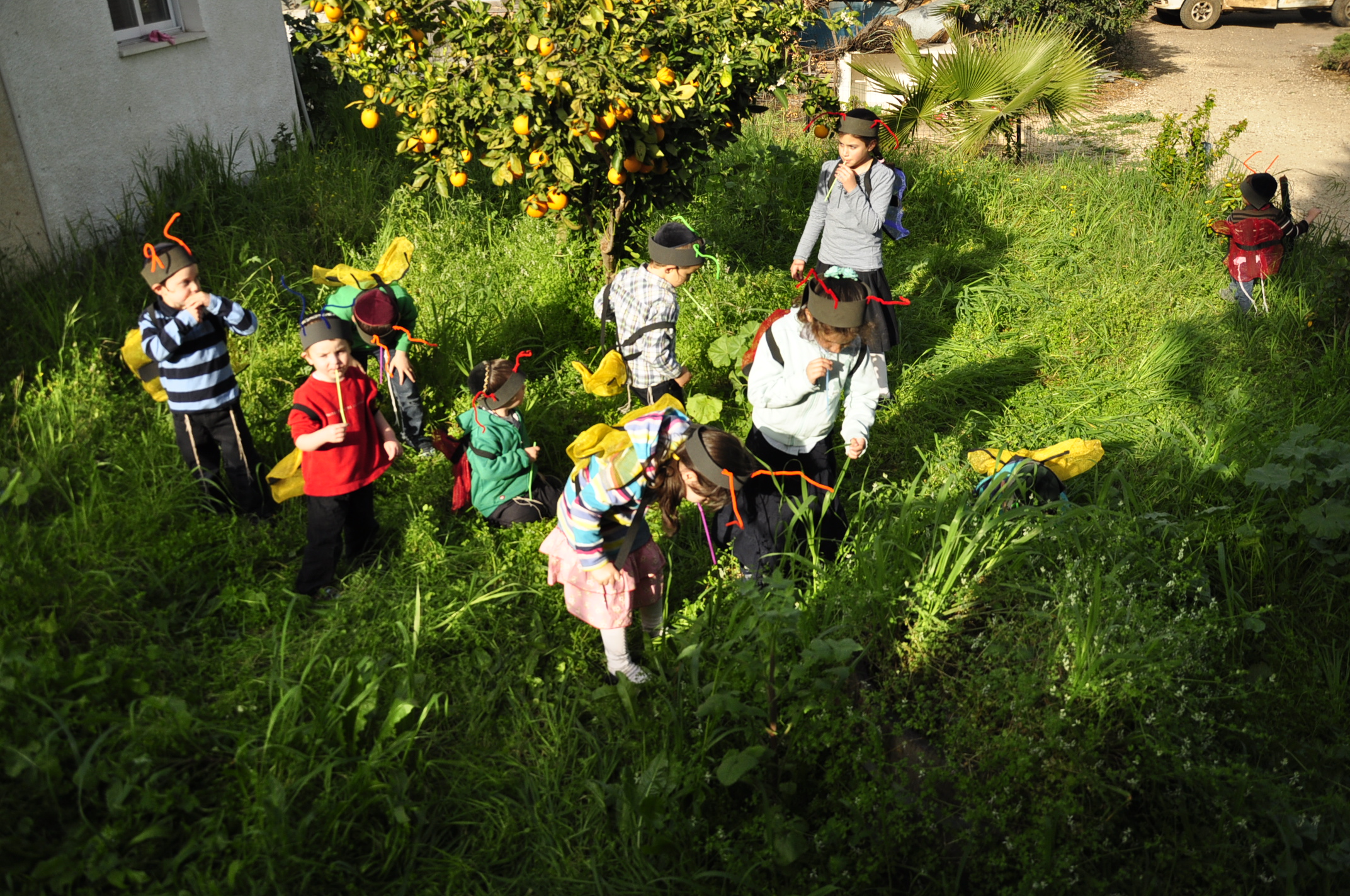 תמונה מהגלריה