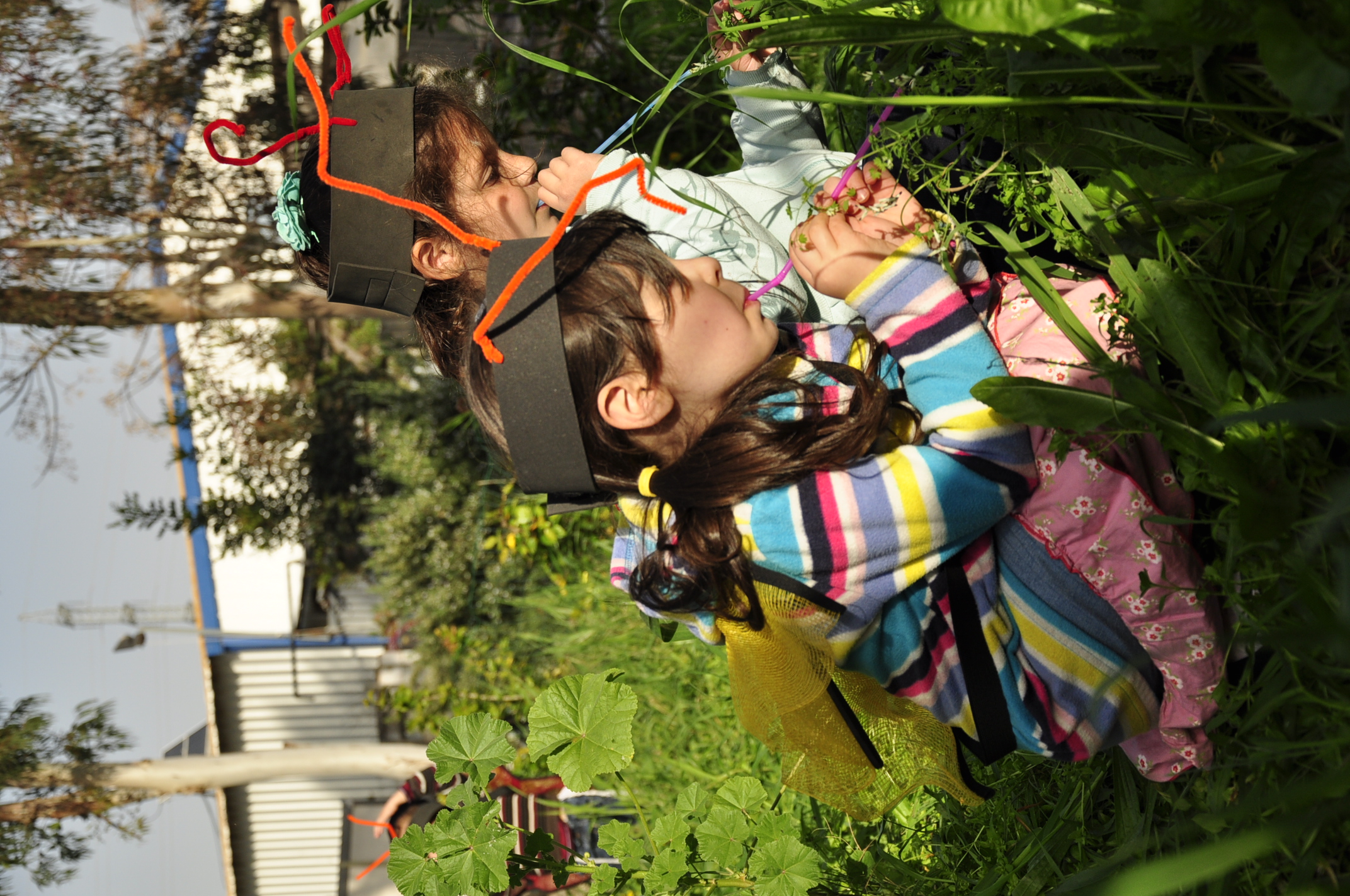 תמונה מהגלריה