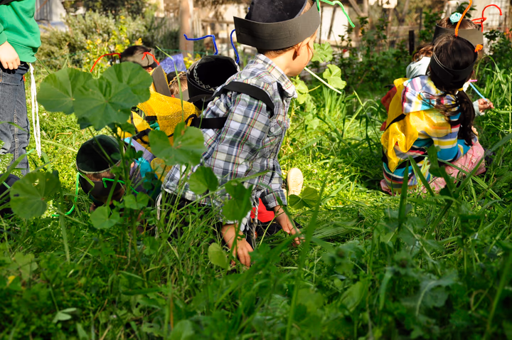 תמונה מהגלריה