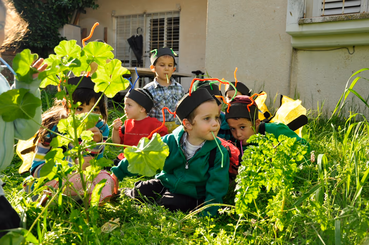 גלריית מאחורי הדבש – תמונה 100