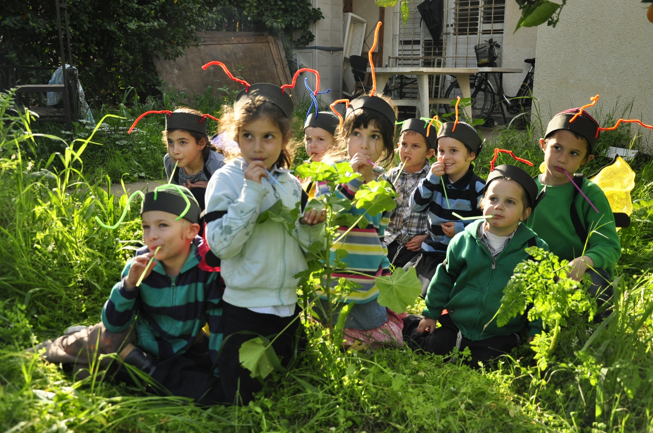 תמונה מהגלריה