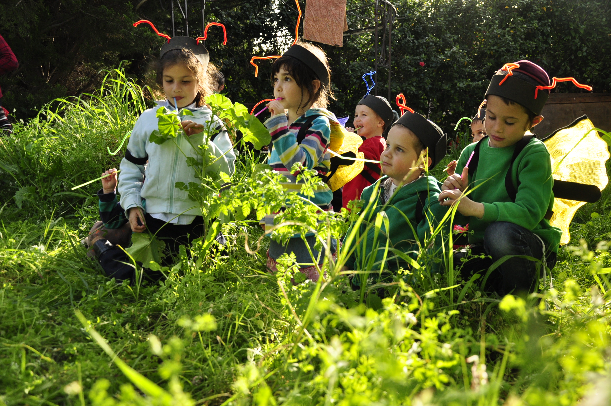 תמונה מהגלריה