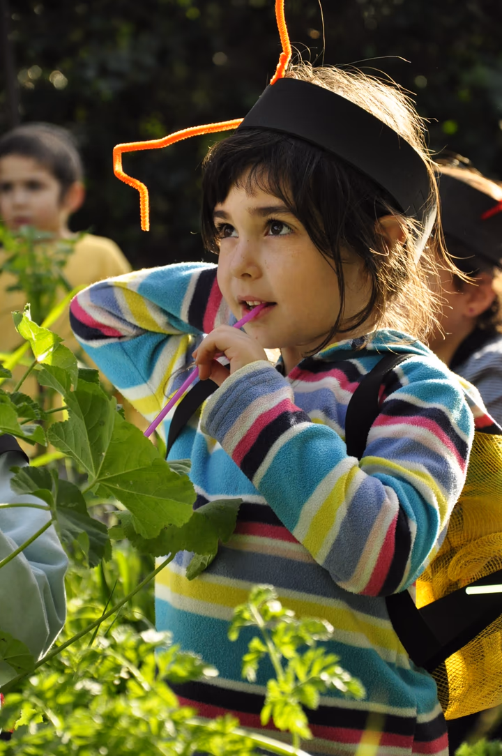 גלריית מאחורי הדבש – תמונה 359