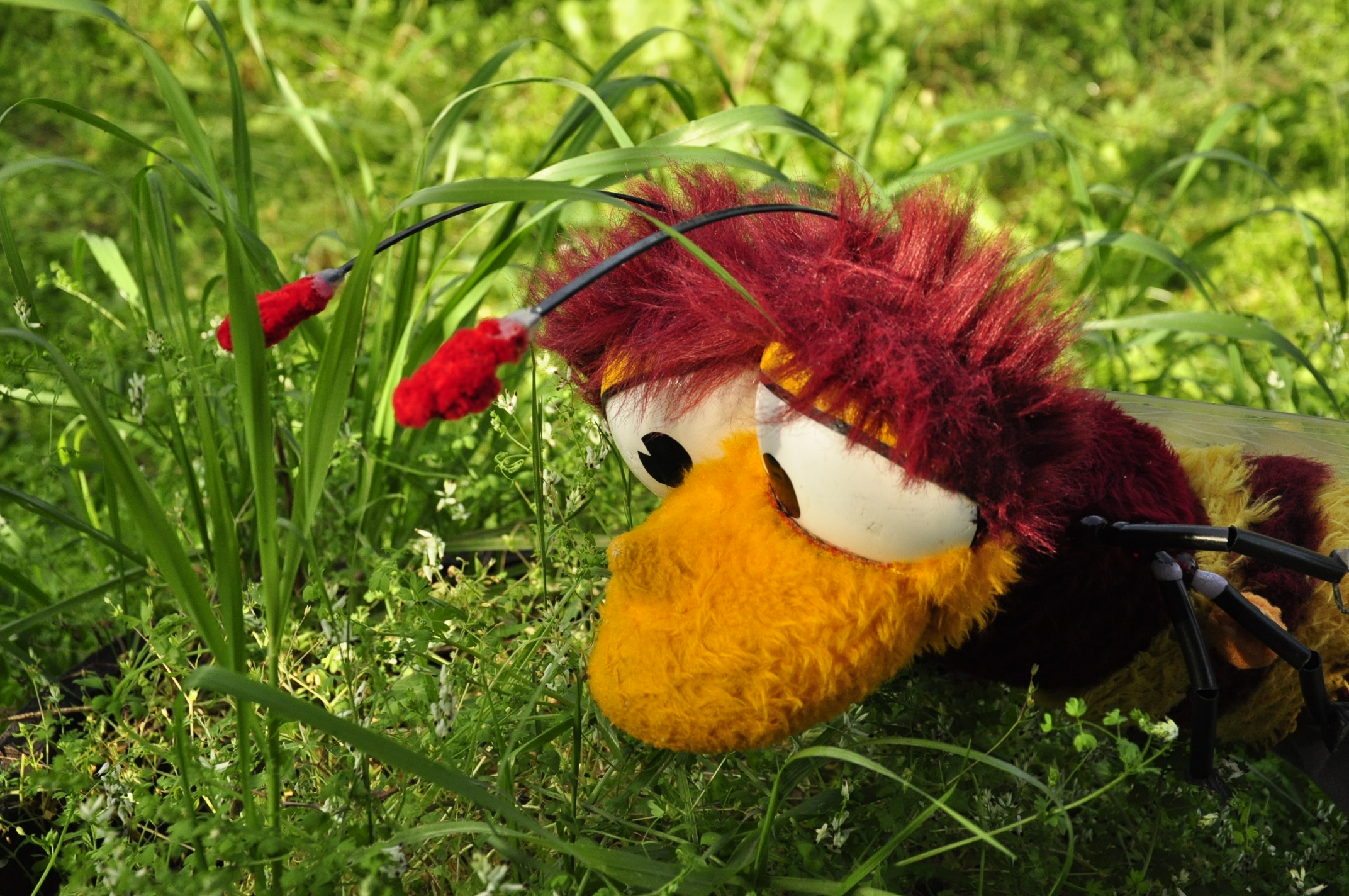 תמונה מהגלריה