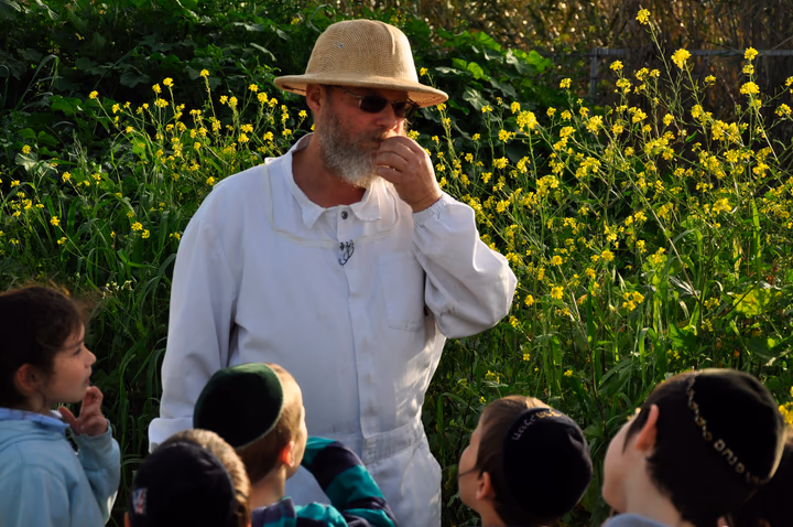 גלריית מאחורי הדבש – תמונה 157
