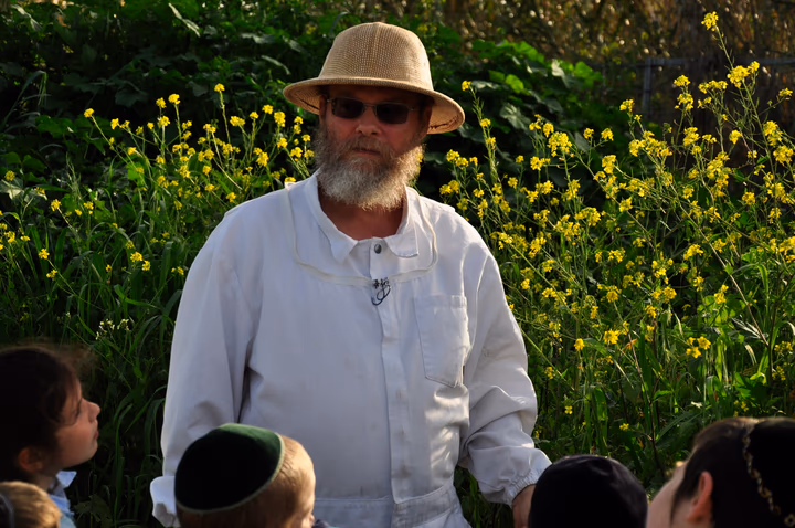 גלריית מאחורי הדבש – תמונה 464