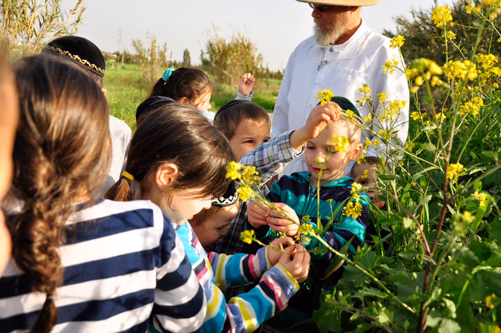 גלריית מאחורי הדבש – תמונה 181