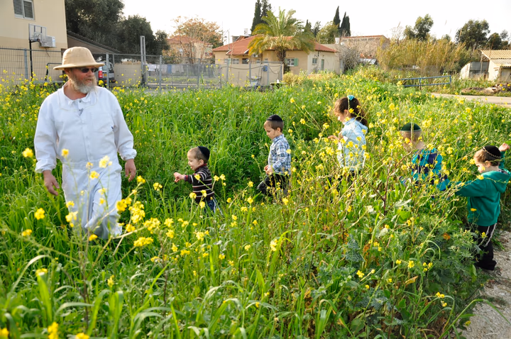 גלריית מאחורי הדבש – תמונה 399