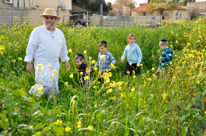 גלריית מאחורי הדבש – תמונה 381