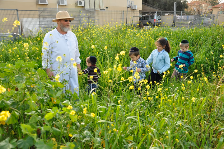 גלריית מאחורי הדבש – תמונה 503