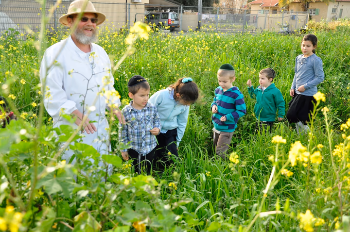 גלריית מאחורי הדבש – תמונה 409
