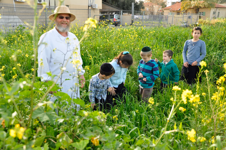 גלריית מאחורי הדבש – תמונה 486