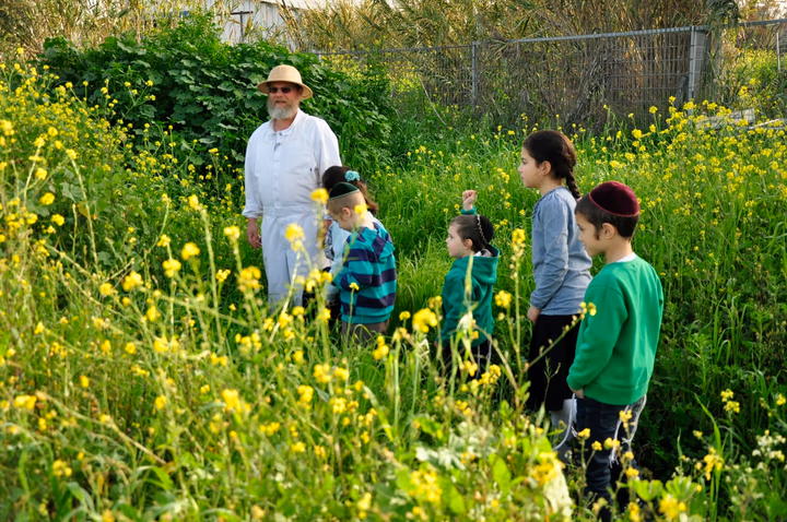 גלריית מאחורי הדבש – תמונה 36