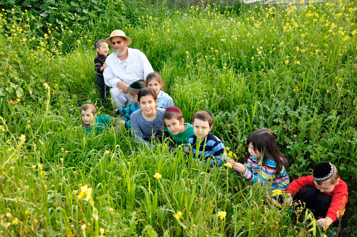 גלריית מאחורי הדבש – תמונה 282