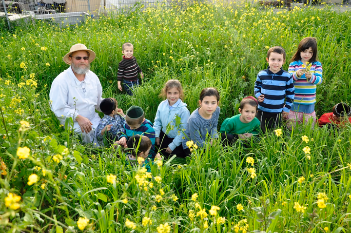גלריית מאחורי הדבש – תמונה 352