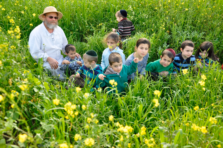 גלריית מאחורי הדבש – תמונה 444