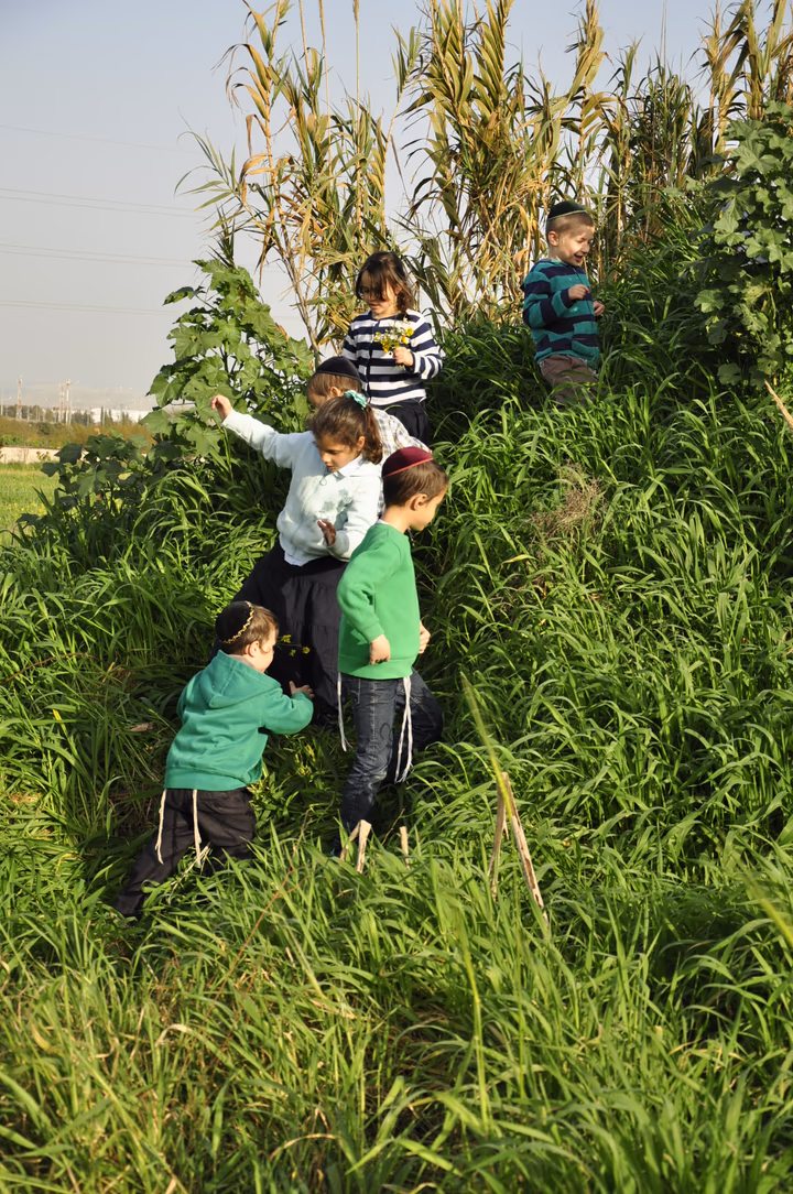 גלריית מאחורי הדבש – תמונה 9