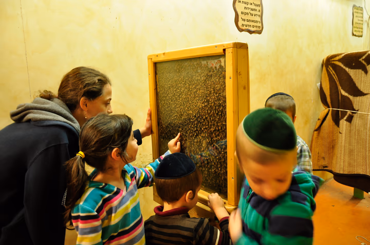 גלריית מאחורי הדבש – תמונה 298