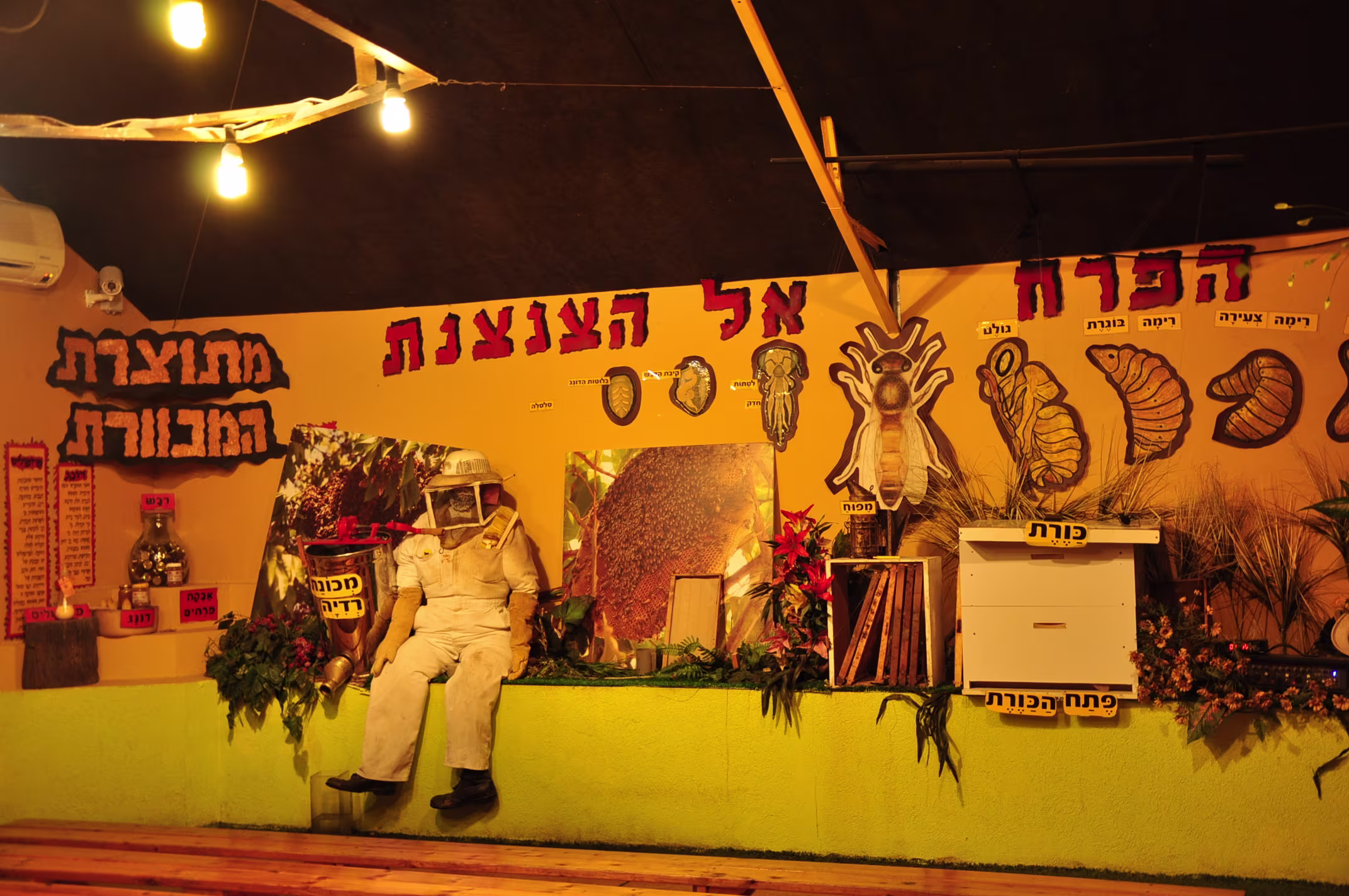 תמונה מהגלריה