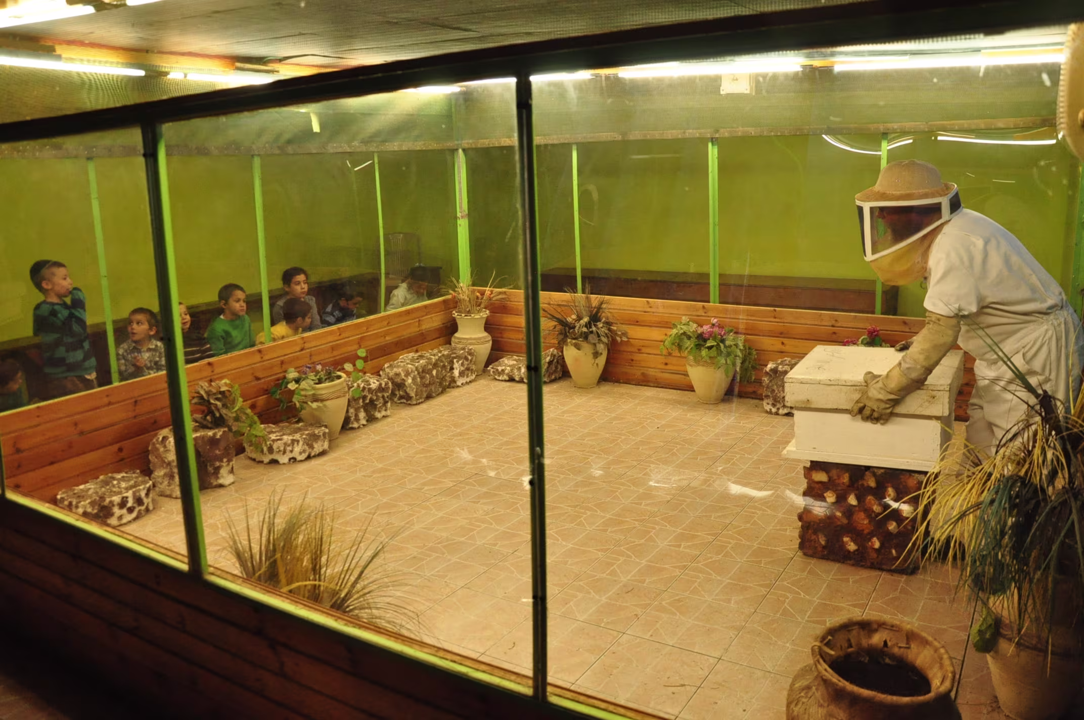 תמונה מהגלריה