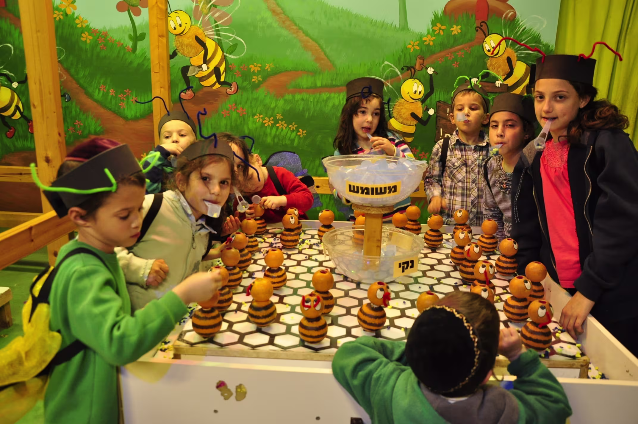 תמונה מהגלריה